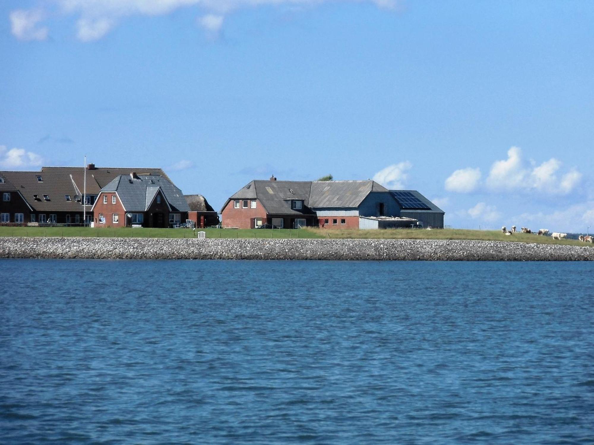 Haus Halligblick, Ferienwohnungen Am Wattenmeer, Whg Hamburger Hallig Dagebüll Εξωτερικό φωτογραφία